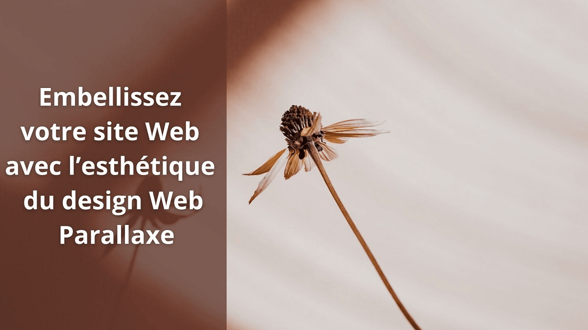 Design Web Parallaxe Design Web Parallaxe